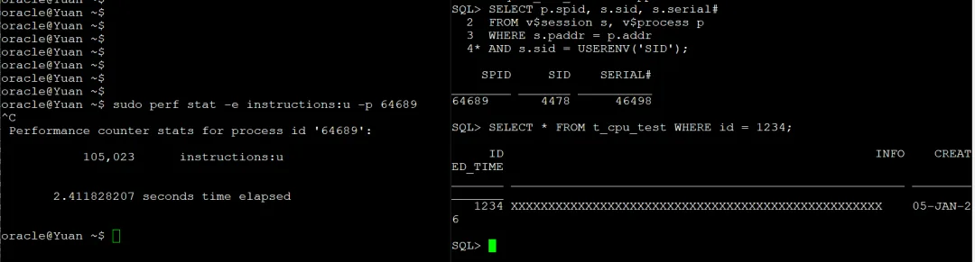 Oracle 19c 用 perf stat 采样会话进程的 CPU 指令数